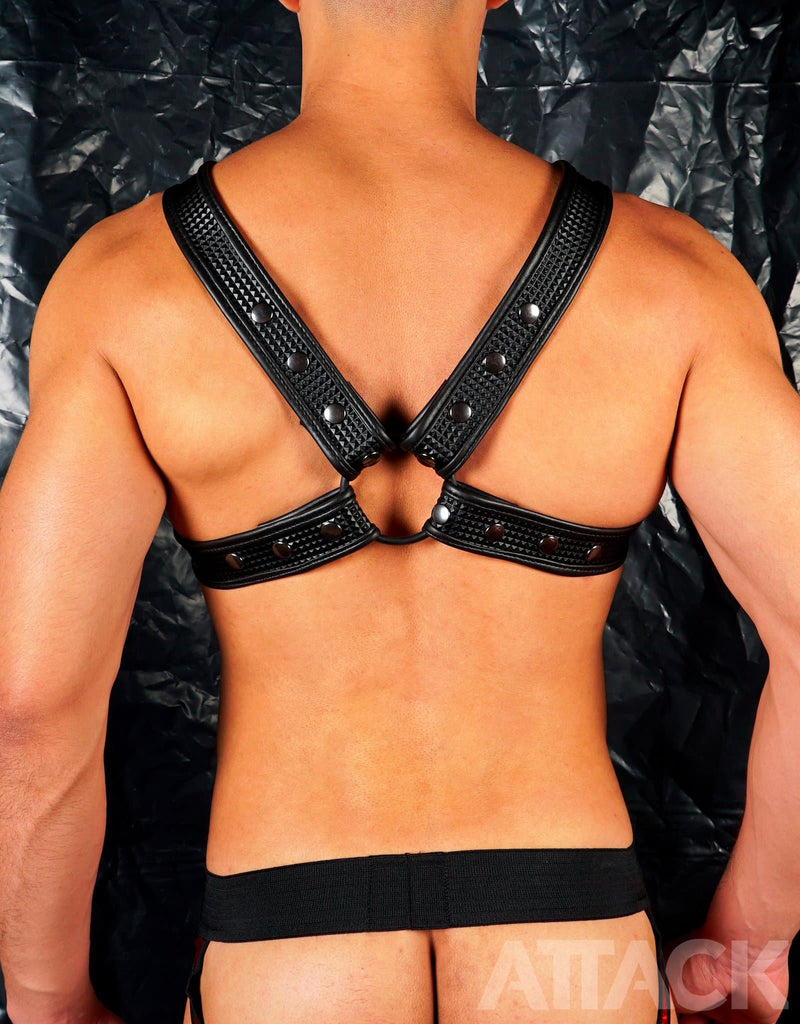 HARNESS FUSEL BLACK X