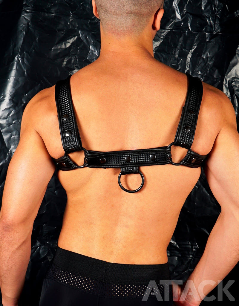 HARNESS FUSEL BLACK CHEST