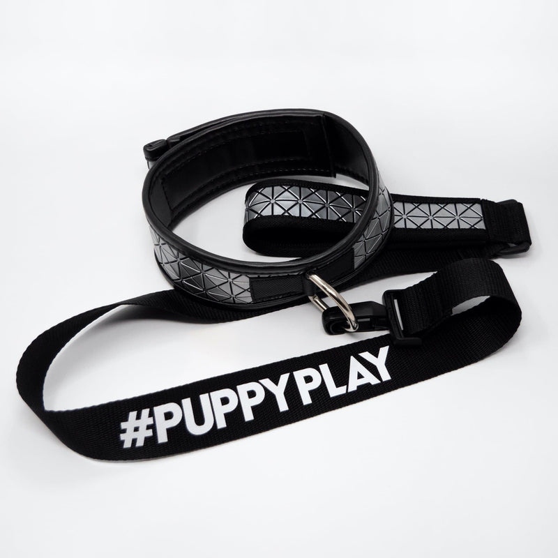 WS DOG COLLAR AND LEASH > SILVER SPIKES