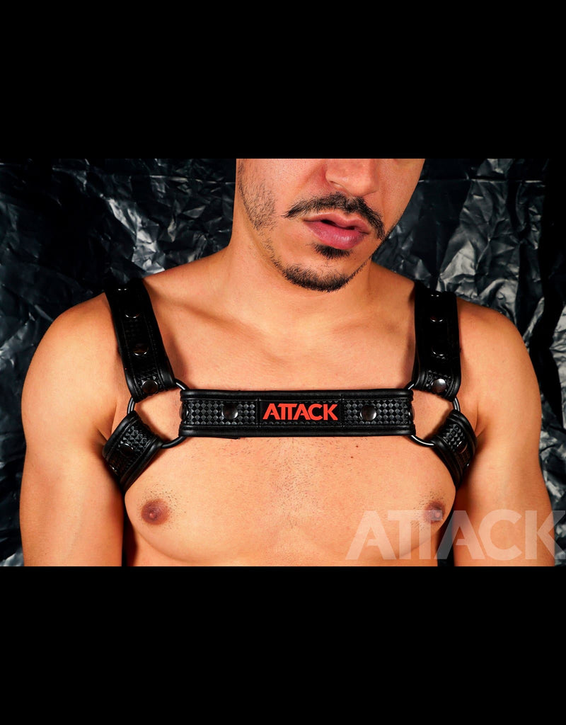 HARNESS FUSEL BLACK CHEST