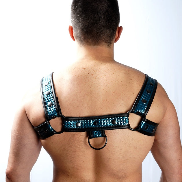 HARNESS FUSEL BLAU CHEST