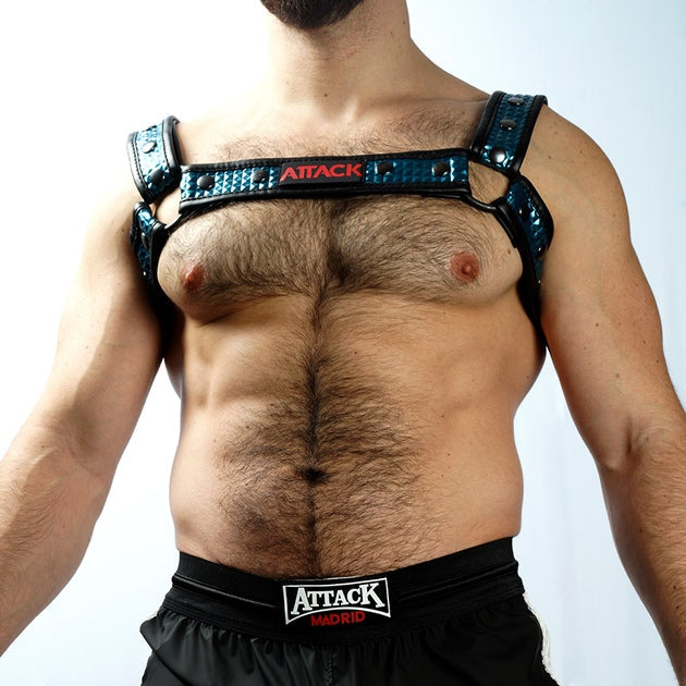 HARNESS FUSEL BLAU CHEST