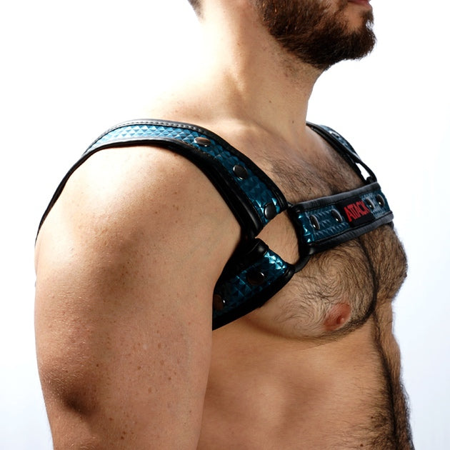 HARNESS FUSEL BLAU CHEST