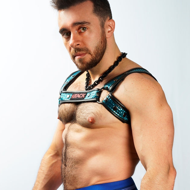 HARNESS FUSEL BLAU CHEST